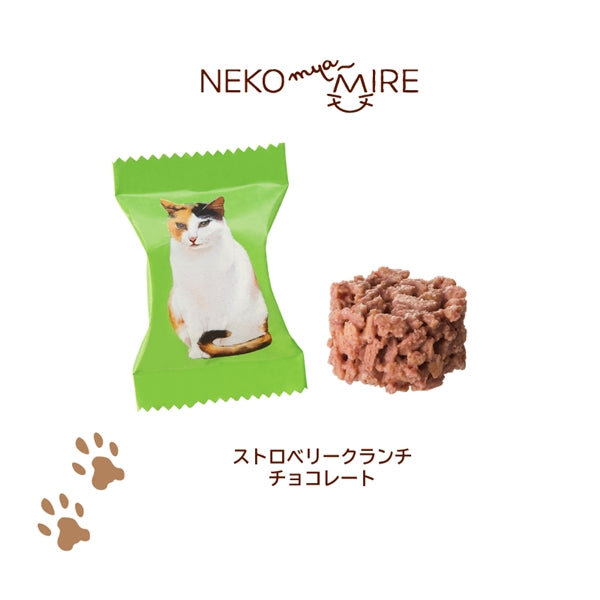 【Pre-order｜Feb】Valentine's Day Limited - Nekomyamire Cat Chocolate｜Cut-Off：Jan20