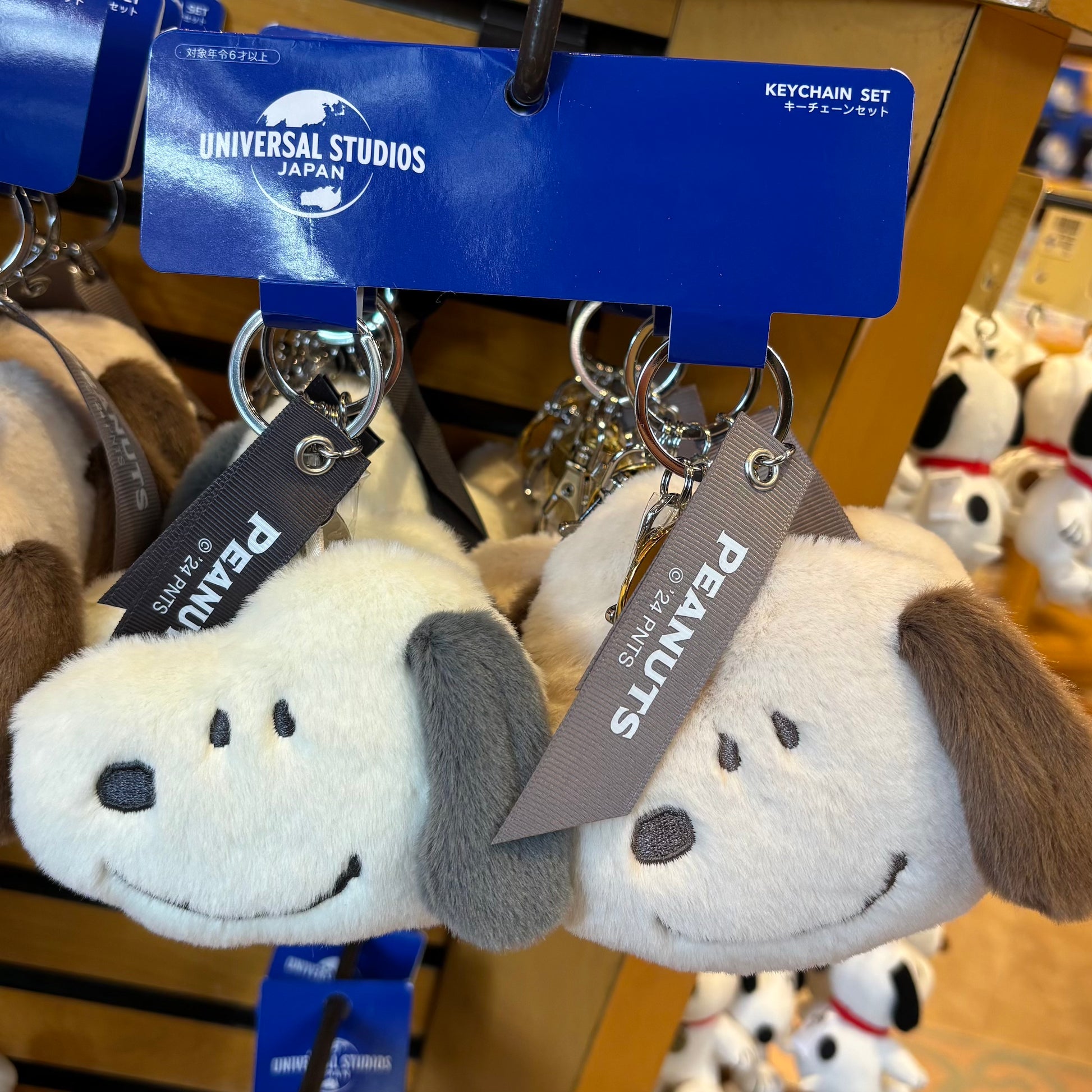 USJ Snoopy 大頭鑰匙扣 Keychain Set