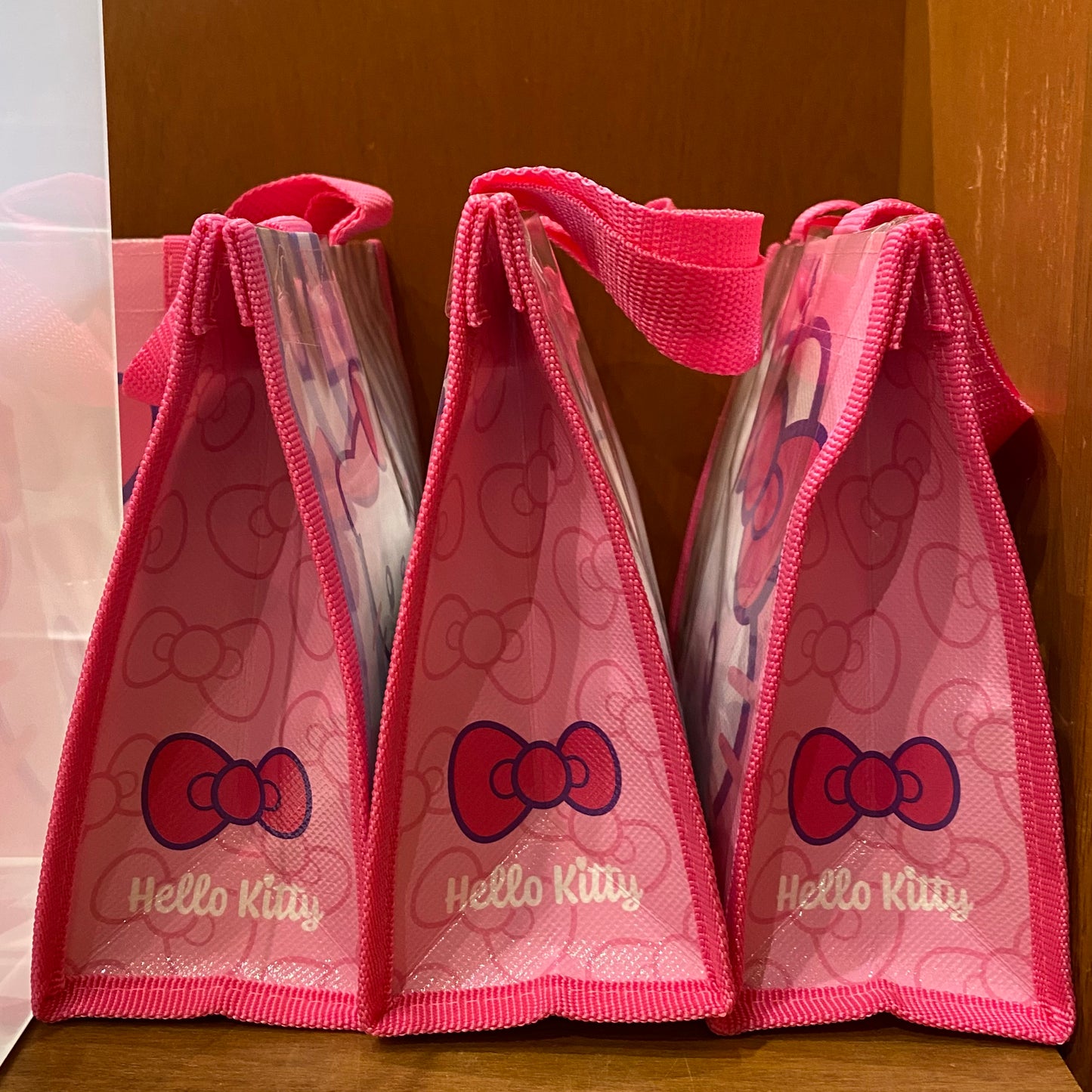 【Order】USJ Hello Kitty Snack Bag
