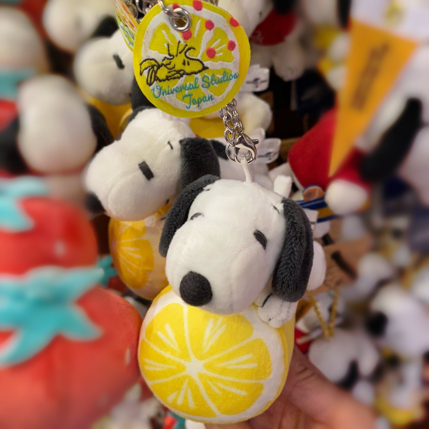【Order】USJ Snoopy Fruit Plush Chain