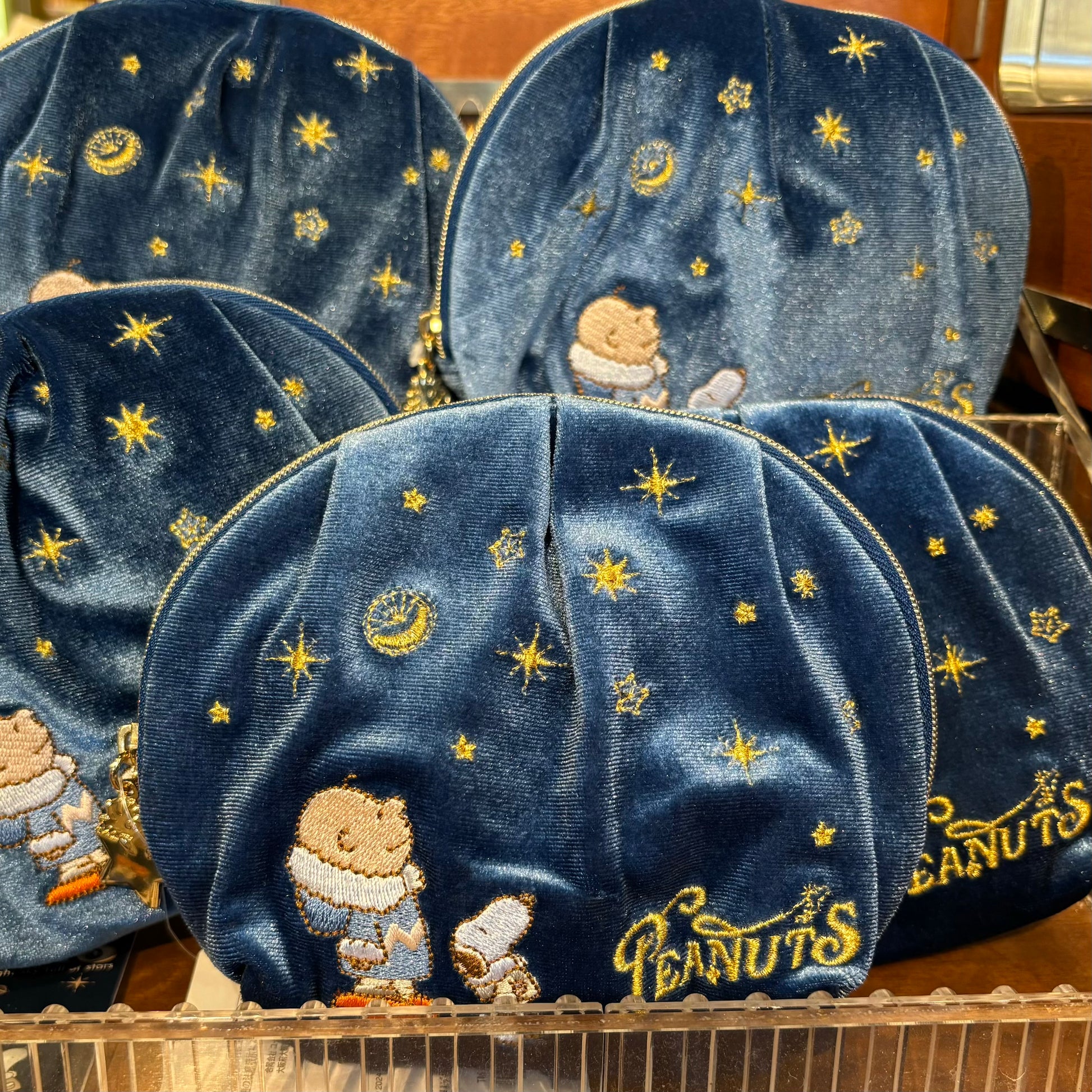 USJ PEANUTS 聖誕系列 - Snoopy & Charlie Brown Pouch 小物袋 化妝袋