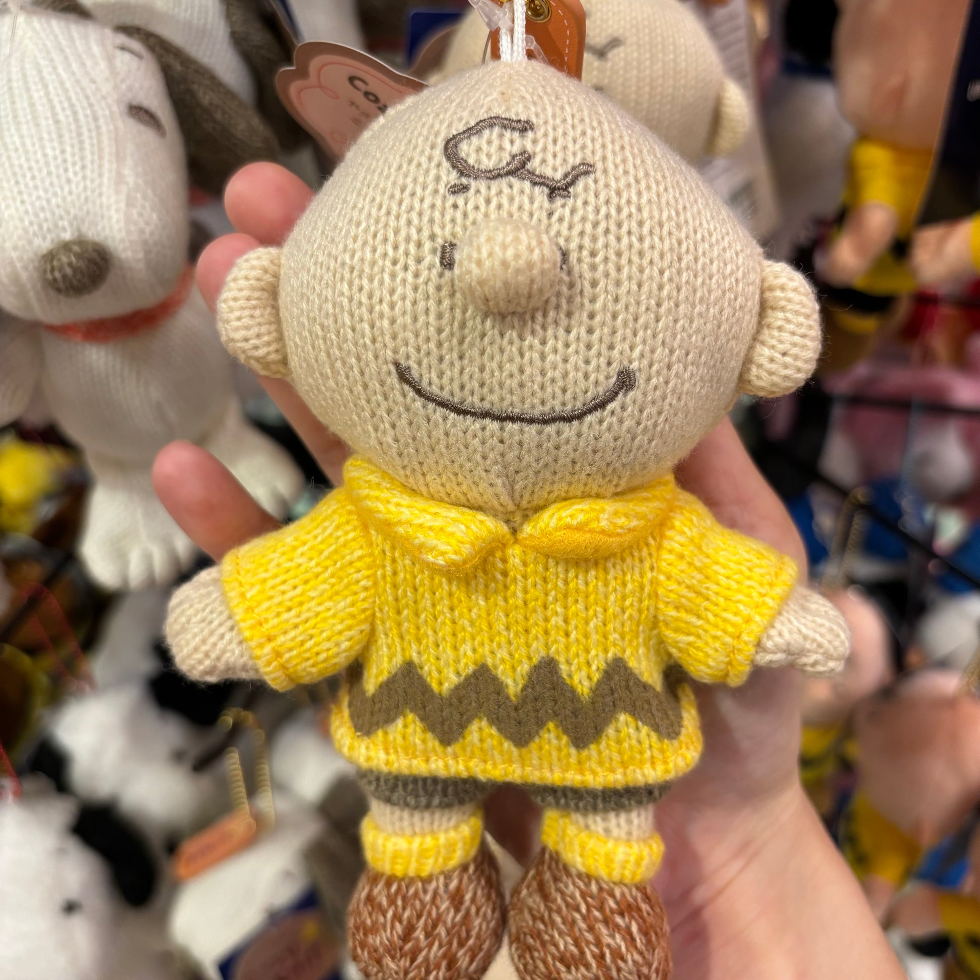 USJ Peanuts Snoopy & Charlie Brown Cozy Knit Plush Chain