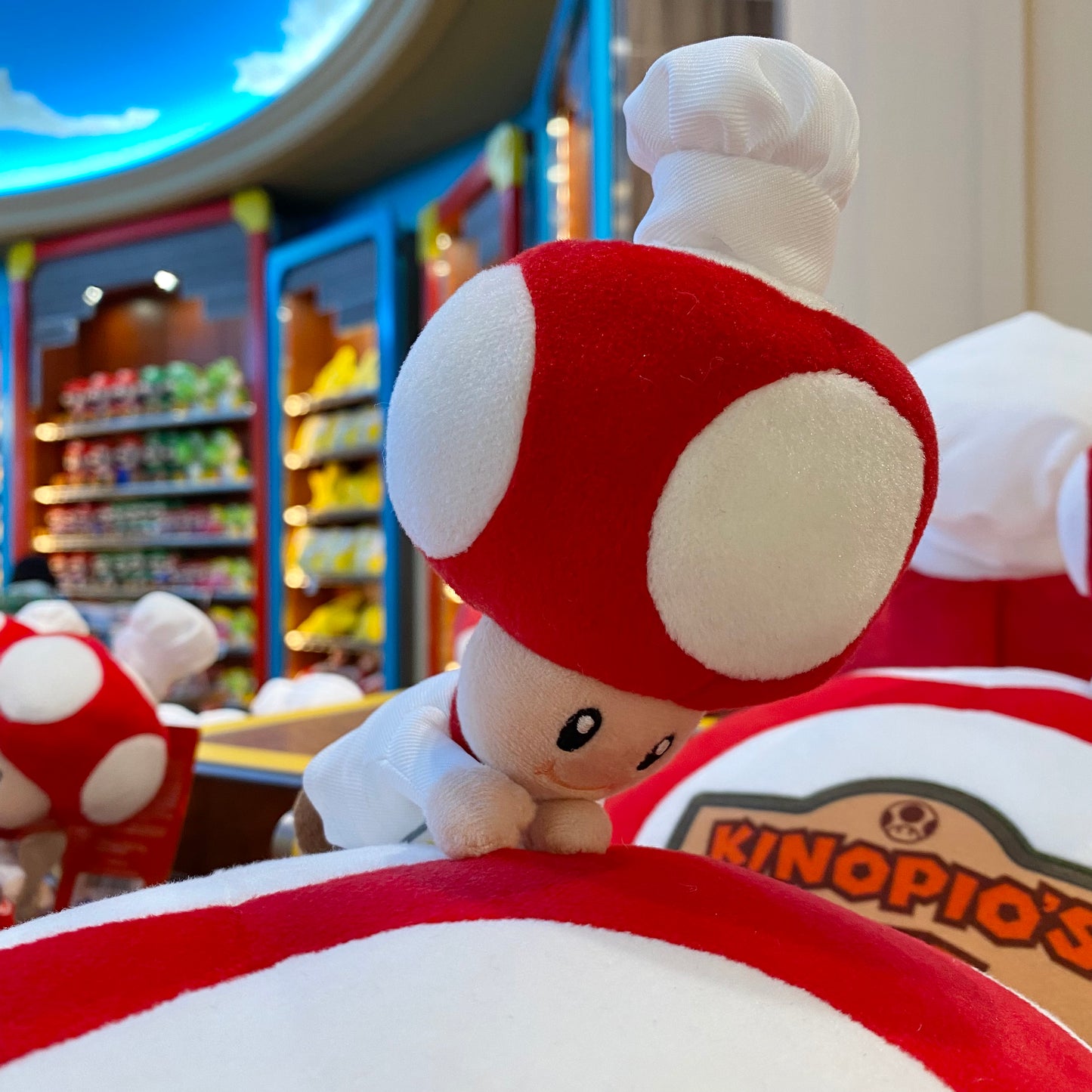 【Order】USJ Nintendo World Toad Cafe Big Cushion
